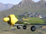 A2A_017 - close up and personal - a YAK 52