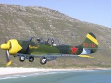 A2A_036 - YAK 52