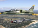 A2A_046 - above Kenton on Sea - the Sea Fury and L39 formation