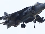 BA Disp_038 - the harrier returns from it's display
