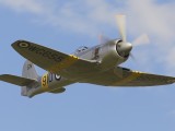 FL2007_118 - Sea Fury