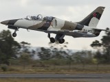 L39-5