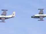Newcastle_006 - two albatross flying in formation