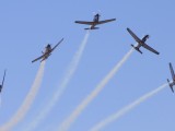 Newcastle_018 - Silver Falcon break