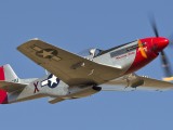 Mustang 8