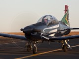 Silver Falcons11