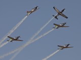 Silver Falcons12