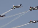 Silver Falcons15