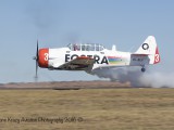 IMG_9534 2sm