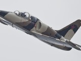 L39-2