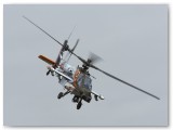 IMG_5648 - Dutch Apache