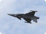 IMG_4859 - Gripen