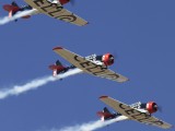 Rand_011 - a display by the CellC Harvard team