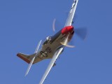 Rand_018 - Menno in his Mustang