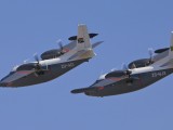 Rand_036 - two Albatross together