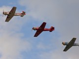 Yak's-1