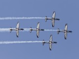 Silver Falcons 7